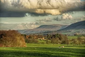Nature-inspired artwork Poster Print Collection: View across farmland towards distant fells, looking towards Pendle Hill, Clitheroe