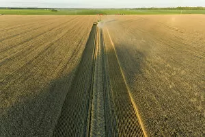 Marion County Collection: Aerial view of combine harvesting wheat at sunset, Marion County, Illinois