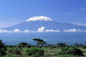 Africa Framed Print Collection: Africa, Tanzania. Mount Kilimanjaro, African landscape and zebra