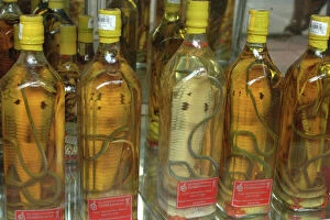 Tunnels Photographic Print Collection: Asia, Vietnam. Snake wine for sale in a Saigon store, Ho Chi Minh City