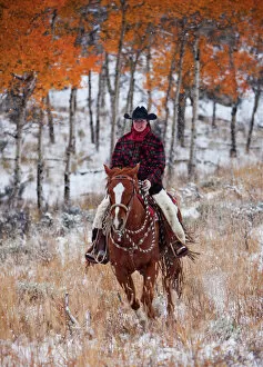 Model Released Collection: A cowboy in a fall landscaped area of Shell Wyoming in the Big Horn MT