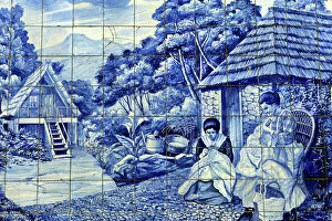 Ornamental Pillow Collection: Europe, Portugal, Madeira. Traditional Azulejos tiles in Funchal, Madeira