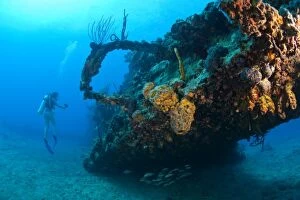 British Virgin Islands Collection: Female teen scuba diver, Wreck of the RMS Rhone, sank after the Great Hurricane of