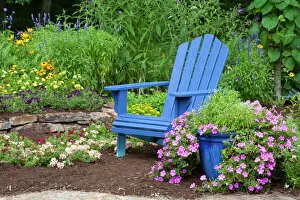 Related Images Canvas Print Collection: Flower garden with blue Adirondack chair, Butterfly Bushes, Peach & Purple Verbenas