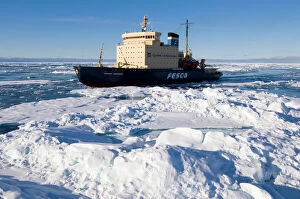 Aerial Views Collection: The icebreabker Kapitan Khlebnikov cruising through broken pack ice Greenland Sea