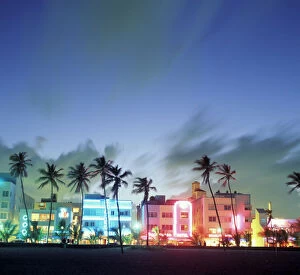 Illuminate Collection: N. A. USA, Florida, Miami, South Beach. Art Deco architecture and palm trees along the strip