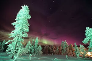 Purple Collection: Scandinavia, Finland, Lapland, Kakslauttanen, The Aurora borealis
