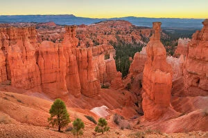 Bryce Canyon National Park Collection: Thor's Hammer and colorful hoodoos seen from below the canyon rim at Sunrise Point