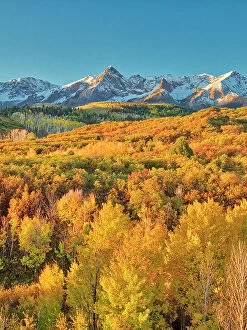 Bright Color Collection: USA, Colorado, Quray. Dallas Divide, sunrise on the Mt. Snaffles with autumn colors