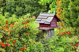 Bright Color Collection: USA, Washington State, Palouse, Colfax. Red birdhouse sitting on a fence
