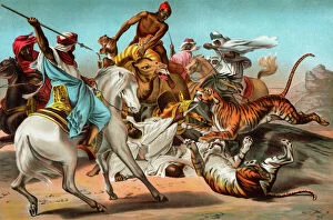 Mid East Collection: Arabs fighting tigers in the desert
