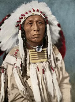 American Crow Poster Print Collection: Crow chief