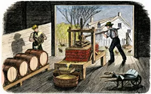 Apple Collection: Farmers making apple cider, 1800s
