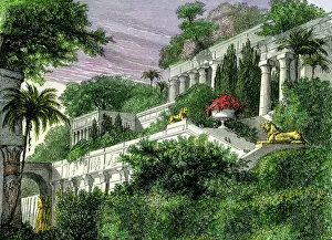 Ancient civilizations Collection: Hanging Gardens of Babylon