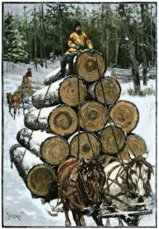 Sledge Collection: Logging in Wisconsin, 1800s