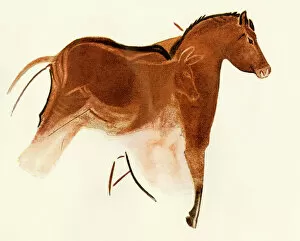 Cave Painting Collection: Prehistoric cave art of a horse with foal, Altamira, Spain