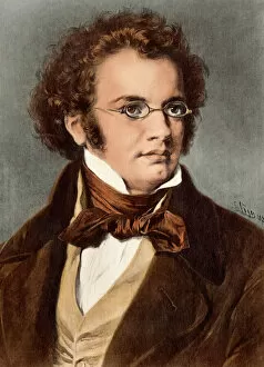 Portraits Framed Print Collection: Schubert
