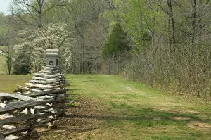Military History Collection: Sunken Road, Shiloh battlefield