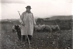 Sheep Collection: Shepherd wearing a smock with his dog and sheep, January 1925