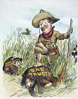 President Collection: American cartoon by Clifford Berryman, c1909, showing President Theodore Roosevelt slaying those