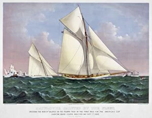 Regatta Collection: AMERICAs CUP, 1886. The Mayflower saluted by the fleet while crossing the bow of the Galatea