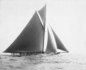 Sailing Collection: AMERICAs CUP, 1901. The American yacht, Independence during the eleventh international