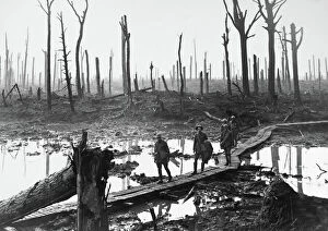 Destruction caused by the Great War Framed Print Collection: Australian troops at remains of Chateau Wood, Passchendaele, 1917