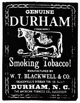 Advertising Collection: BULL DURHAM TOBACCO, 1864. Trademark symbol for Bull Durham tobacco, 1864