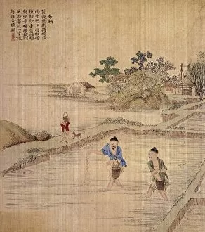 Chinese Art Canvas Print Collection: Chinese silk painting, c1650-1726