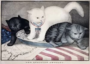 30 Jun 2011 Mounted Print Collection: CIVIL WAR: CARTOON, c1865. The Question Settled. White cat labeled Old Abe kicking out a grey cat