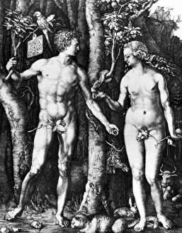 Albrecht Collection: D├£RER: ADAM & EVE, 1504. Line engraving by Albrecht D├╝rer, 1504