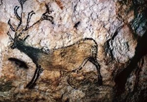 Cave Paintings Canvas Print Collection: LASCAUX: RUNNING DEER. Running deer from the Cave of Lascaux, Montignac, France