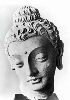 4th Century Collection: Limestone head from Gandhara (northwest Pakistan), 4th -5th century A. D