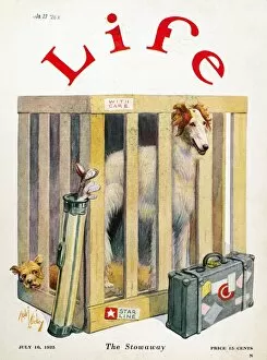Animals Collection: MAGAZINE: LIFE, 1925. Life magazine cover, 16 July 1925