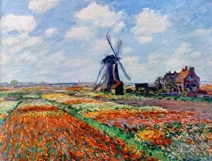 Landscape paintings Collection: MONET: TULIP FIELDS, 1886. Claude Monet: Fields of Tulips in Holland. Oil on canvas, 1886
