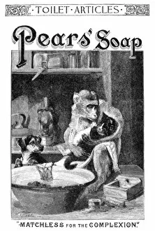 Animals Collection: PEARS SOAP AD, 1888. American magazine advertisement, 1888