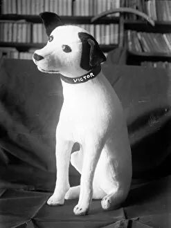 Nipper Collection: RCA VICTOR TOY, c1900. A stuffed toy of Nipper, the RCA Victor mascot. Photograph