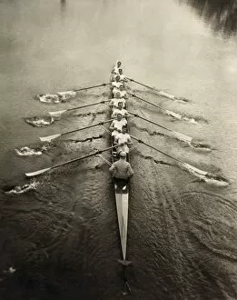 Artcom Collection: ROWING TEAM, c1913. The Cambridge rowing team on a river. Photograph, c1913