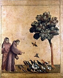 Bondone Collection: ST. FRANCIS OF ASSISI (c1181-1226). Italian friar. St. Francis preaching to the birds