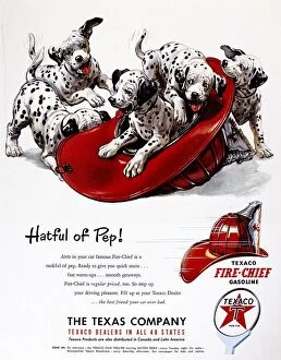 Vintage Ads Framed Print Collection: TEXACO ADVERTISEMENT, 1951. American advertisement for Texaco Fire Chief gasoline, 1951