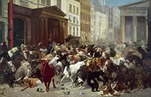 Wall Street Photographic Print Collection: WALL STREET: BEARS & BULLS. Bulls and Bears in the Market. An allegorical painting by William H
