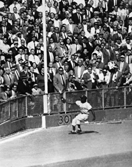 Related Images Metal Print Collection: WORLD SERIES, 1955. Left fielder Sandy Amoros of the Brooklyn Dodgers catches a deep fly ball hit
