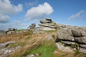 Pelynt Collection: Windswept stones on Bodmin Moor
