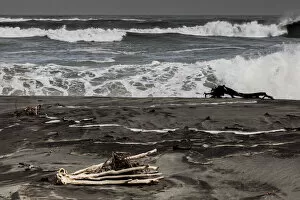 West Coast Pillow Collection: Logs washed up on the beach at Hokitika in West Coast, New Zealand