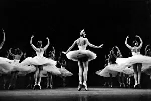 Dancer Collection: Ballerina Margot Fonteyn