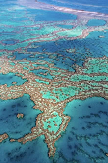 Australia Jigsaw Puzzle Collection: Great Barrier Reef