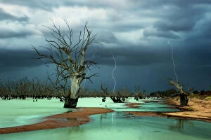 Related Images Fine Art Print Collection: Menindee lakes
