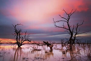 Nature art Collection: Menindee Lakes, Outback NSW, Australia