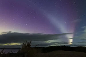 Aurora Borealis Photo Mug Collection: STEVE Aurora phenomenon