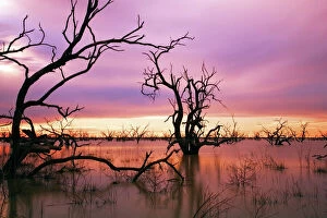 Nature art Fine Art Print Collection: Sunset at Menindee Lakes, Outback NSW, Australia